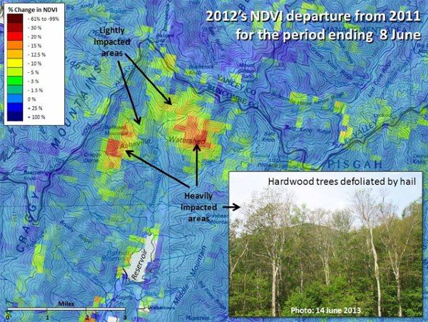 u.s. forest change assessment viewer map showing damage to the asheville, north carolina watershed following a 2012 hail storm.